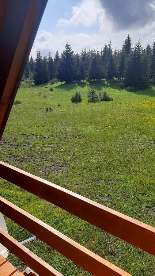 House Bojana Villa Žabljak Eksteriør billede