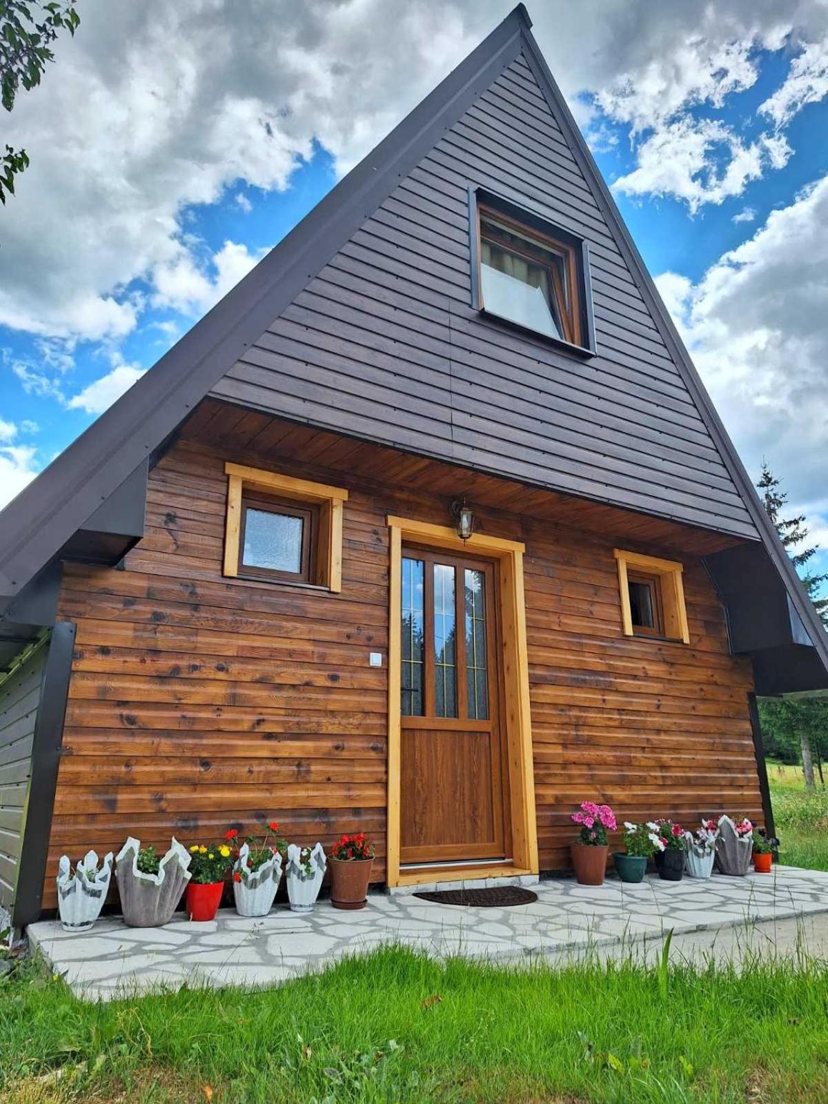 House Bojana Villa Žabljak Eksteriør billede